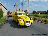 Zandlemig Vlaanderen